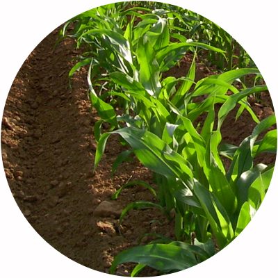Productos-especiales-a-pedido-agricultura